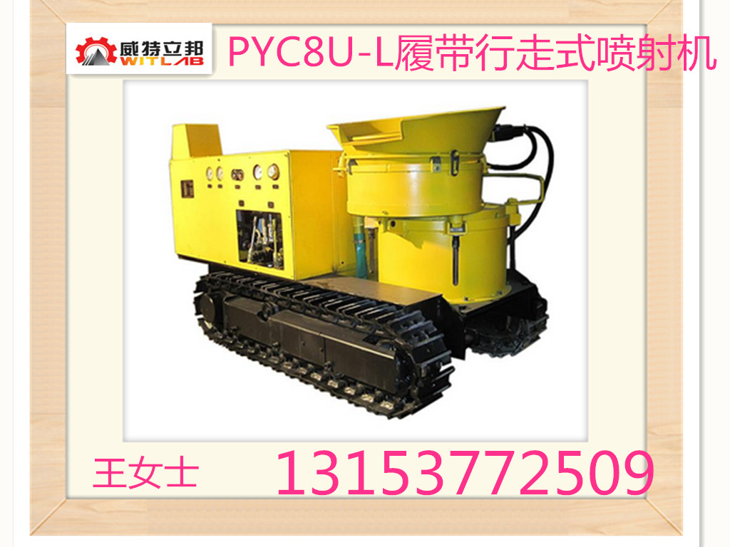 SֱNPYC8U-L{C 
P(gun)I: