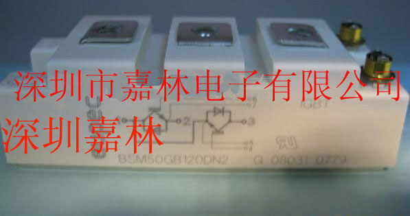 BSM50GB120DN2BSM75GB120DN2 
P(gun)I: