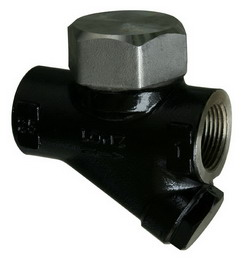 Ӣ(gu)spirax sarcoTD16ˮy 
P(gun)I: