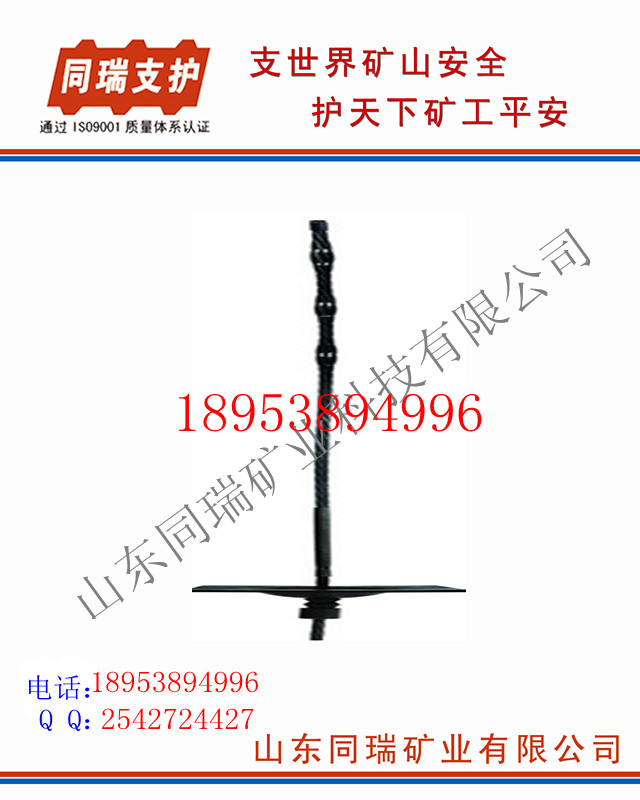 NA(yng)^ 
P(gun)I: