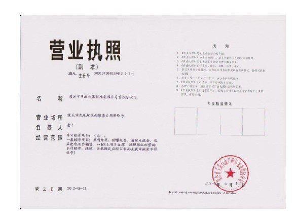 II(y)(zh) 
PI:07-02