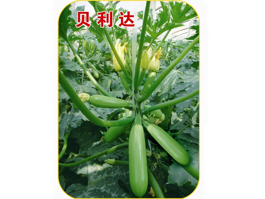 紺NֲڸкɫGԺJNӡ۹fʢNI(y) 
PI: