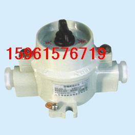 (BZM8030 BZM-10)As_P(gun)r(ji) 
P(gun)I: